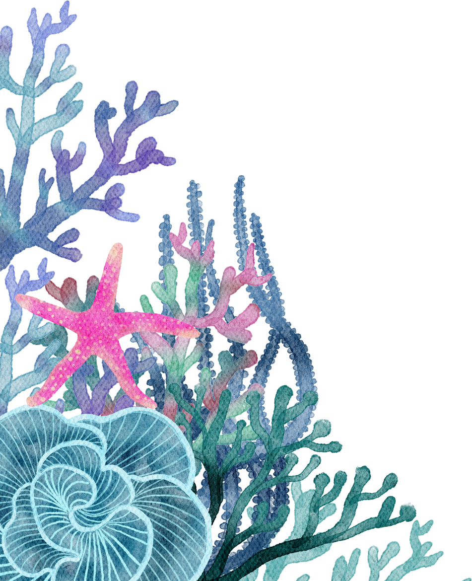 under ocean life element with watercolor painted , Coral ree